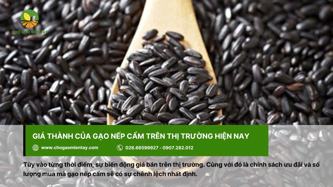 Gạo Nếp Cẩm 5 Giá gạo nếp cẩm dao động khoảng 35.000 - 45.000 đồng/kg