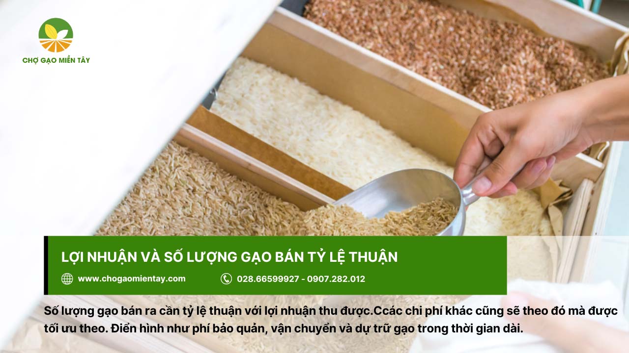 Kinh doanh gạo có lời không? Lợi nhuận kinh doanh gạo là bao nhiêu? 7 Lợi nhuận và số lượng gạo bán cần tỷ lệ thuận với nhau