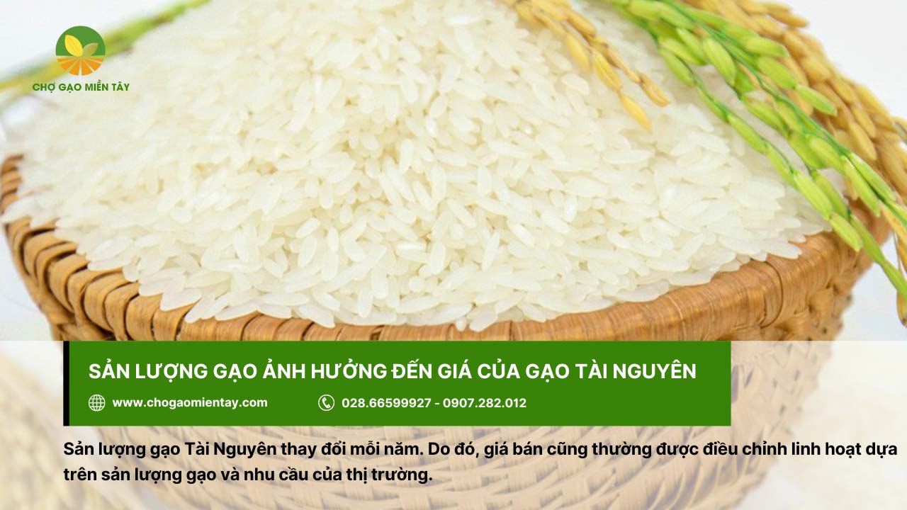 Gạo Tài Nguyên Thơm 5 Giá gạo Tài Nguyên dựa trên sản lượng gạo và nhu cầu của thị trường