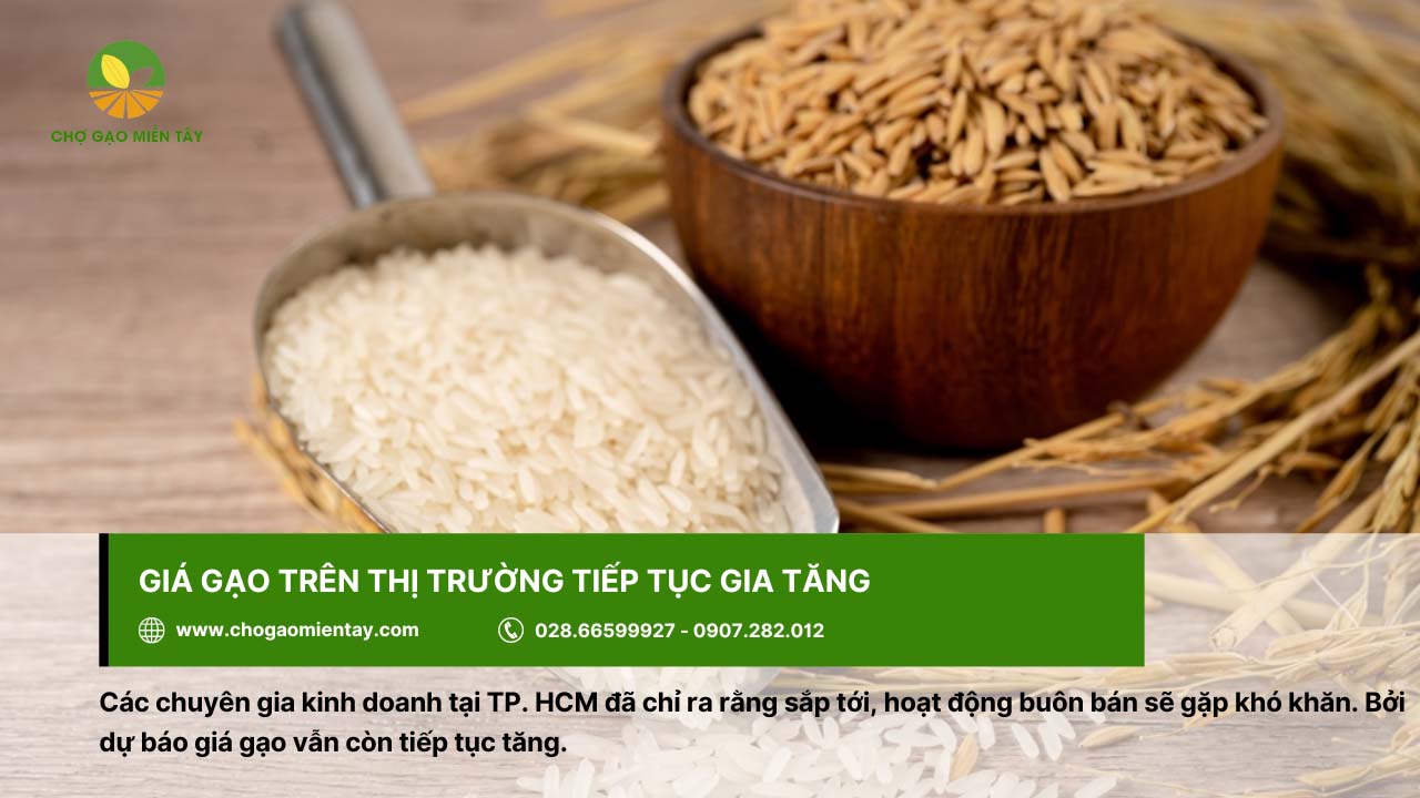 Thông tin giá thóc hôm nay và dự báo giá lúa gạo sắp tới 5 Thị trường gạo có dấu hiệu tiếp tục gia tăng