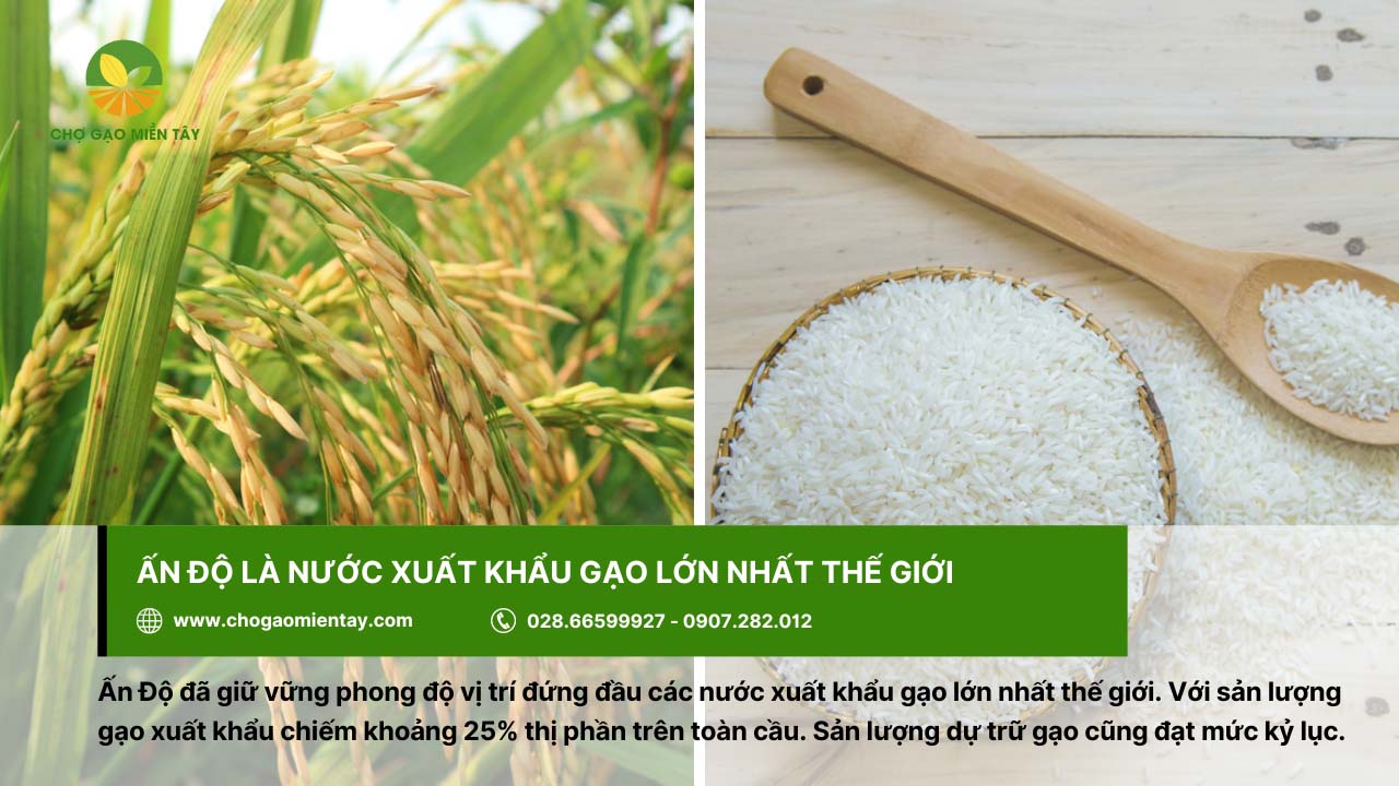 Top 10 nước xuất khẩu gạo lớn nhất thế giới năm 2024 2 Ấn Độ là quốc gia ước xuất khẩu gạo lớn nhất thế giới