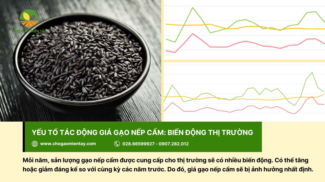 Gạo Nếp Cẩm 6 Biến động thị trường gạo ảnh hưởng một phần đến giá gạo nếp cẩm