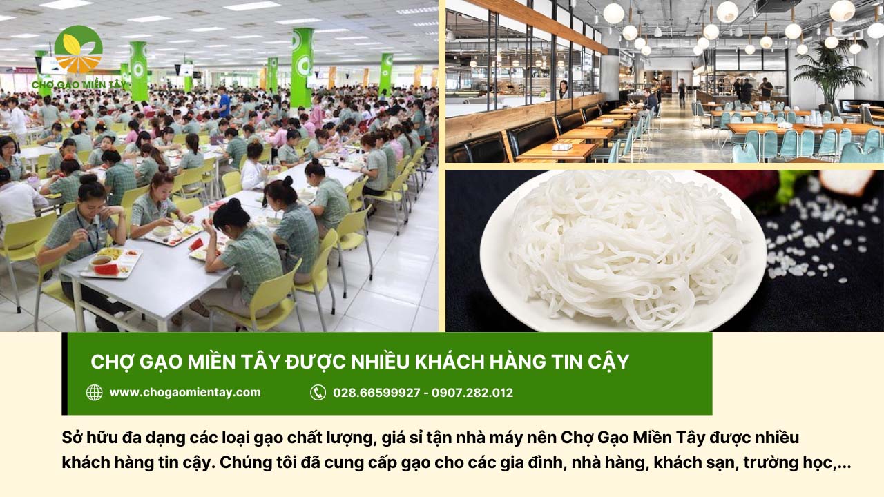 Kho gạo Sài Gòn: Bỏ mối gạo sỉ nhập gạo tận gốc cho đại lý 6 Chợ Gạo Miền Tây cung cấp gạo cho đa dạng đối tượng