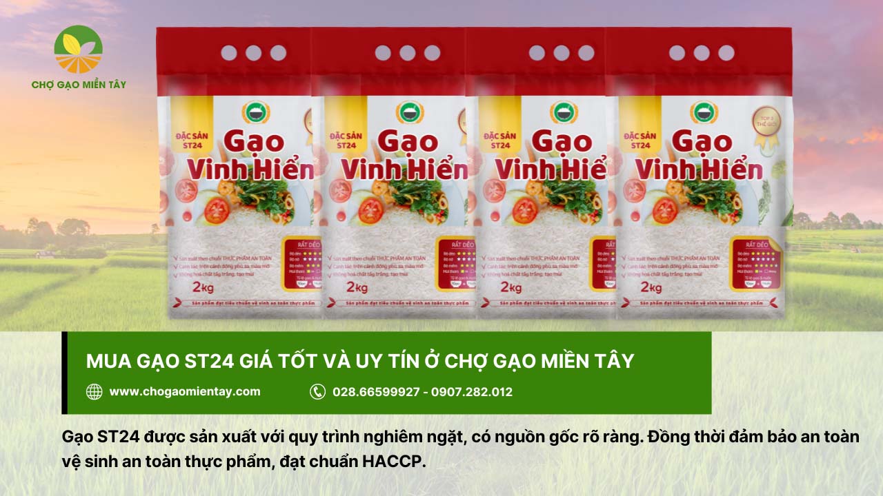 Giá Gạo ST24 Hiện Nay? Mua gạo ST24 ở đâu tại TPHCM 6 Chợ Gạo Miền Tây cung cấp gạo ST24 thơm ngon