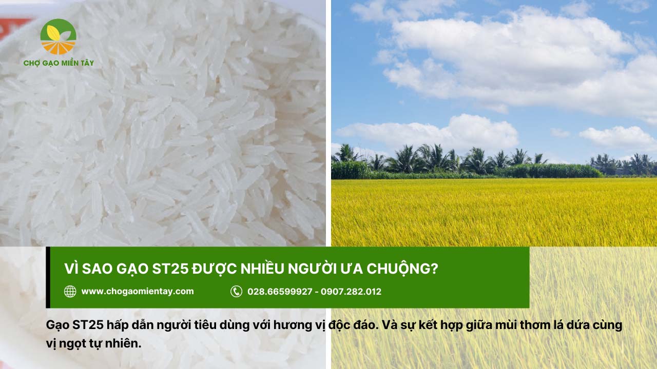 Gạo đặc sản ST25 6 Gạo ST25 có hương vị tự nhiên, hấp dẫn người ăn
