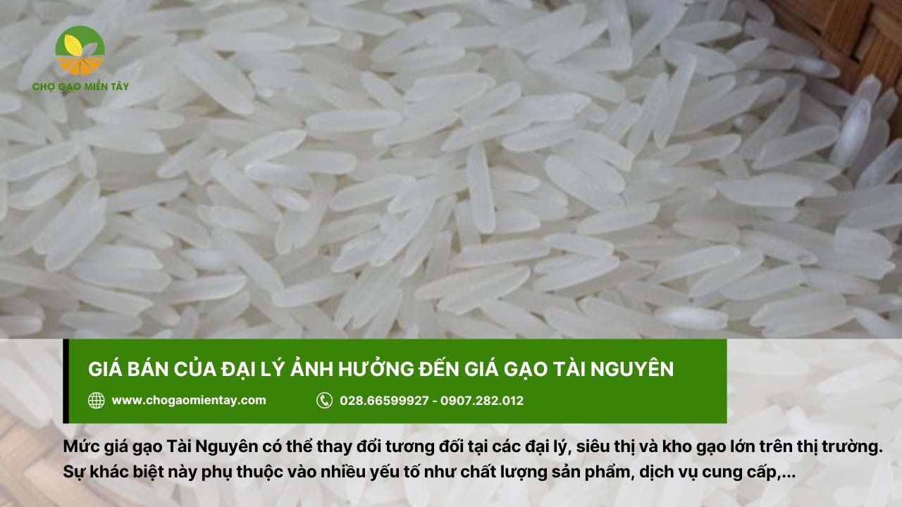 Gạo Tài Nguyên Thơm 6 Giá bán gạo Tài Nguyên ở đại lý, siêu thị,... có sự chênh lệch