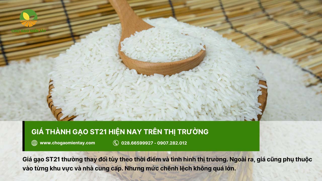 Gạo ST21 Đặc Sản 9 Giá gạo ST21 phụ thuộc vào biến động của thị trường