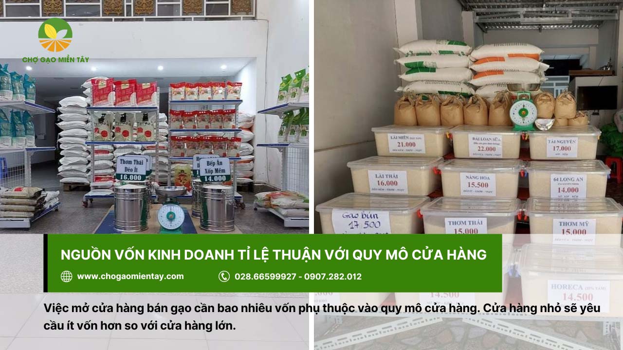 Mở đại lý gạo cần bao nhiêu vốn? Tư vấn mở đại lý gạo hiệu quả 3 Nguồn vốn đầu tư phụ thuộc vào quy mô của cửa hàng gạo
