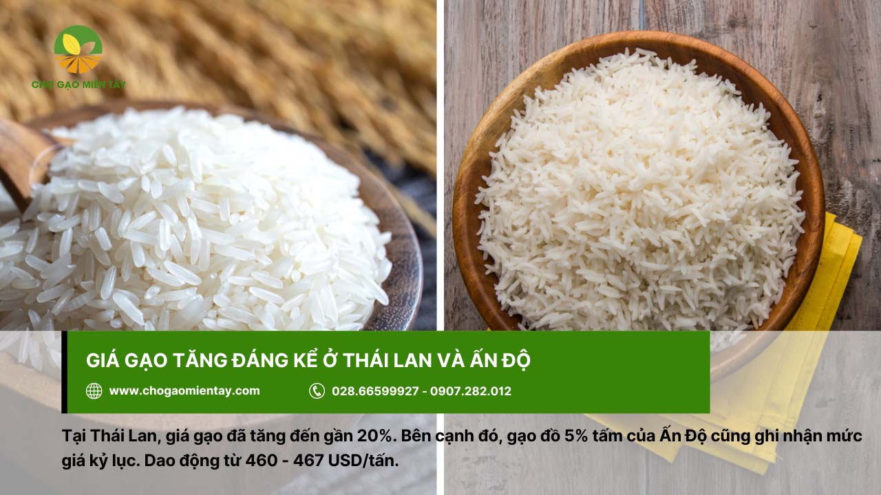 Thông tin giá thóc hôm nay và dự báo giá lúa gạo sắp tới 6 Thái Lan và Ấn Độ đều có giá gạo tăng so với trước đó