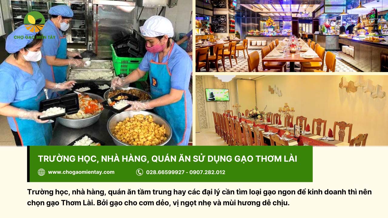 Gạo Thơm Lài 5 Trường học, nhà hàng hay quán ăn đều chọn gạo Thơm Lài để kinh doanh