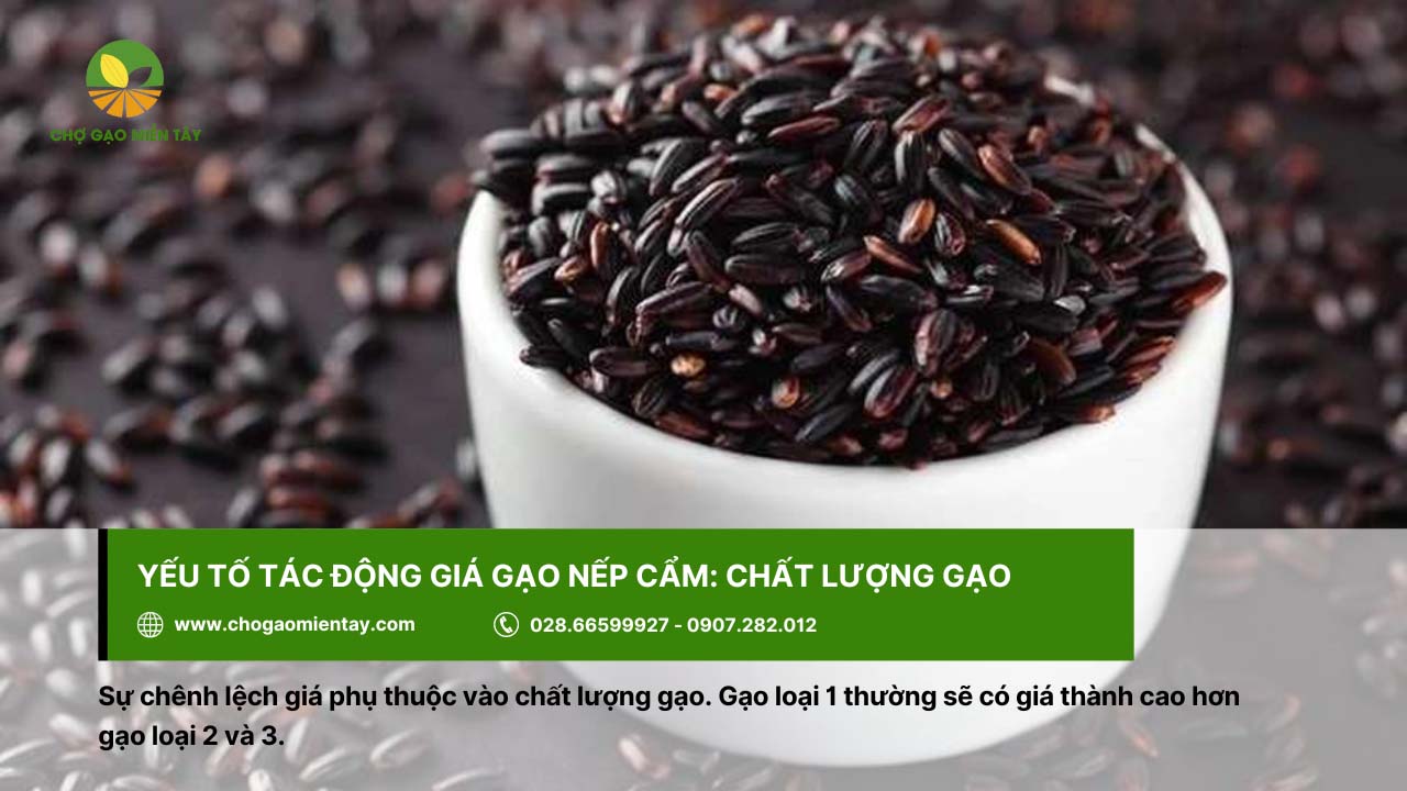 Gạo Nếp Cẩm 7 Chất lượng gạo sẽ làm giá gạo nếp cẩm có sự chênh lệch nhất định