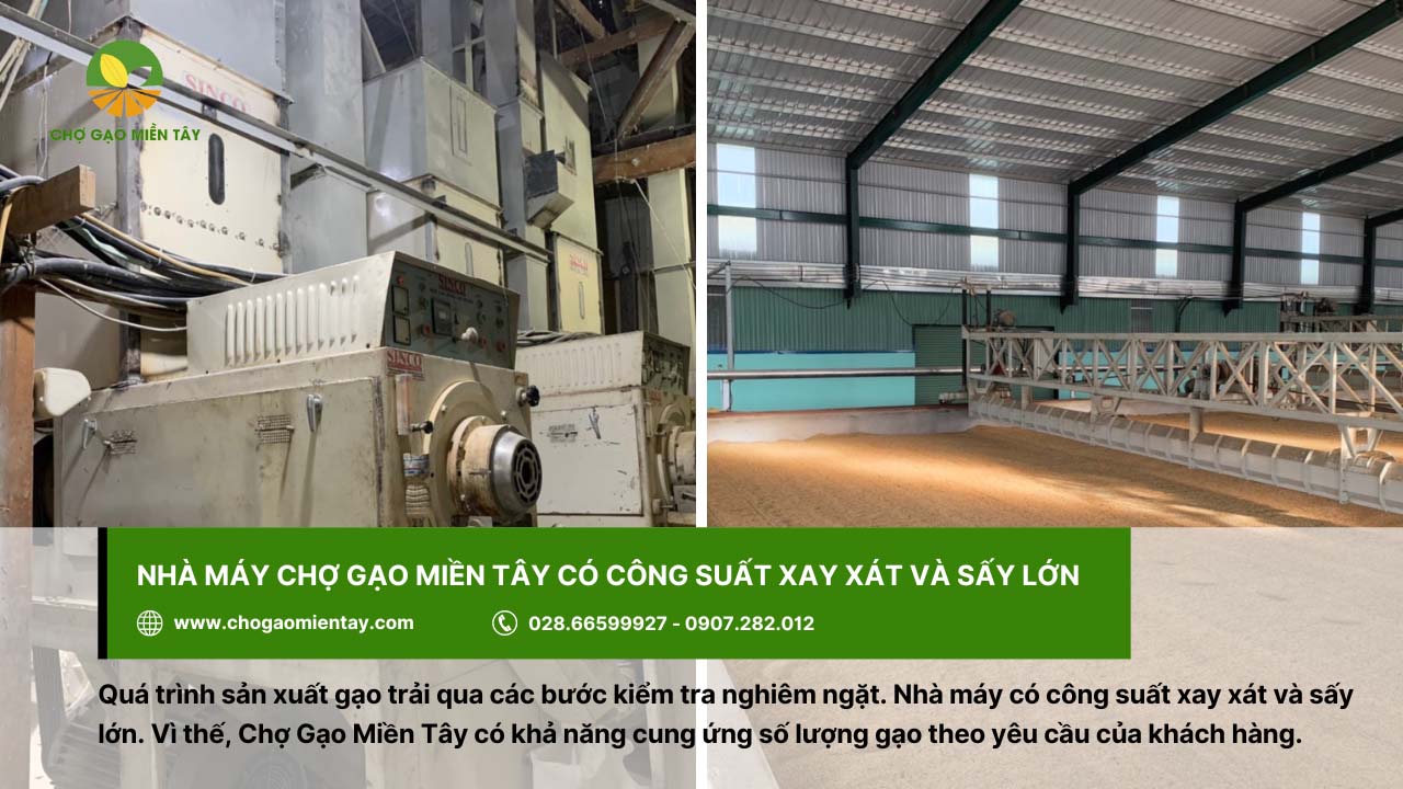 Chợ Gạo Miền Tây - Nhà máy gạo sản xuất gạo sạch, chất lượng 7 Công suất xay xát và sấy đảm bảo cung ứng tối ưu cho số lượng gạo lớn