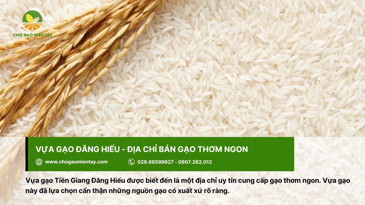 Danh sách top 10 vựa gạo Tiền Giang chất lượng và uy tín hiện nay 7 Đăng Hiếu là vựa gạo cung cấp gạo thơm ngon