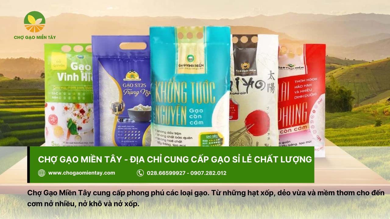 Kho gạo Sài Gòn: Bỏ mối gạo sỉ nhập gạo tận gốc cho đại lý 8 Địa chỉ cung cấp gạo sỉ lẻ tươi ngon tại Chợ Gạo Miền Tây
