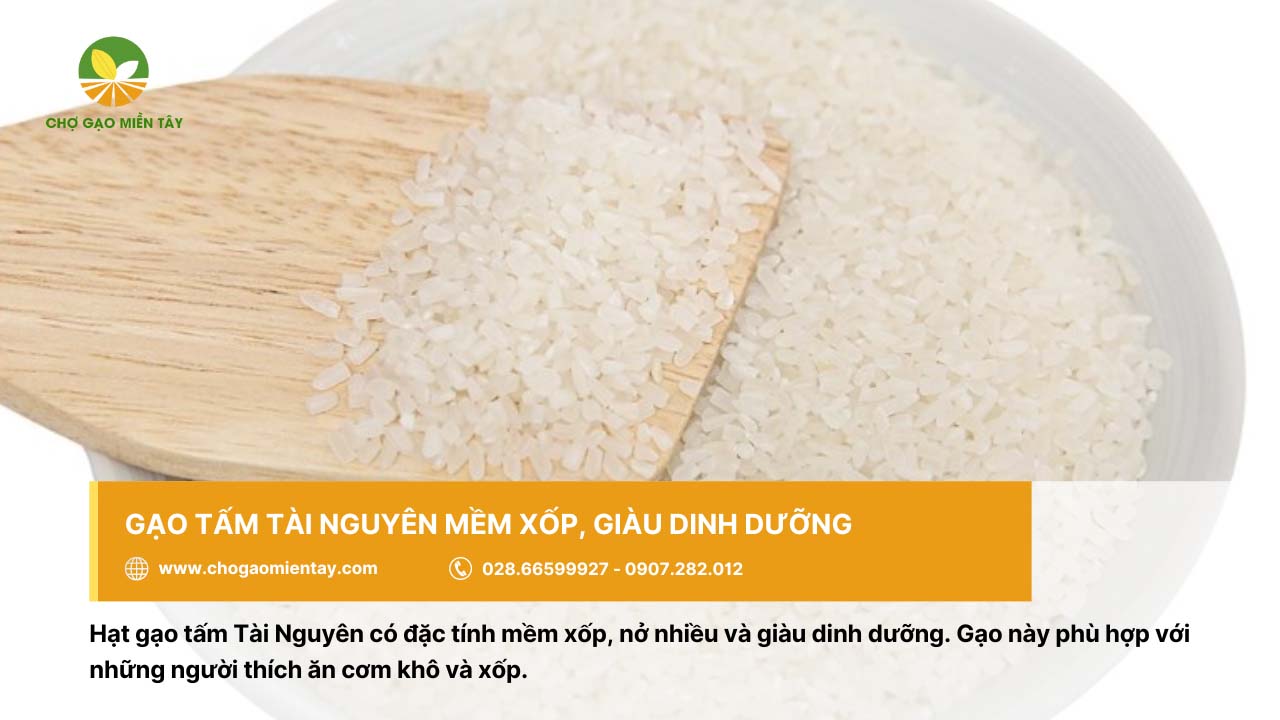 Gạo tấm bán ở đâu? Mua gạo tấm cho quán cơm tấm 7 Gạo tấm Tài Nguyên thích hợp để nấu cơm tấm