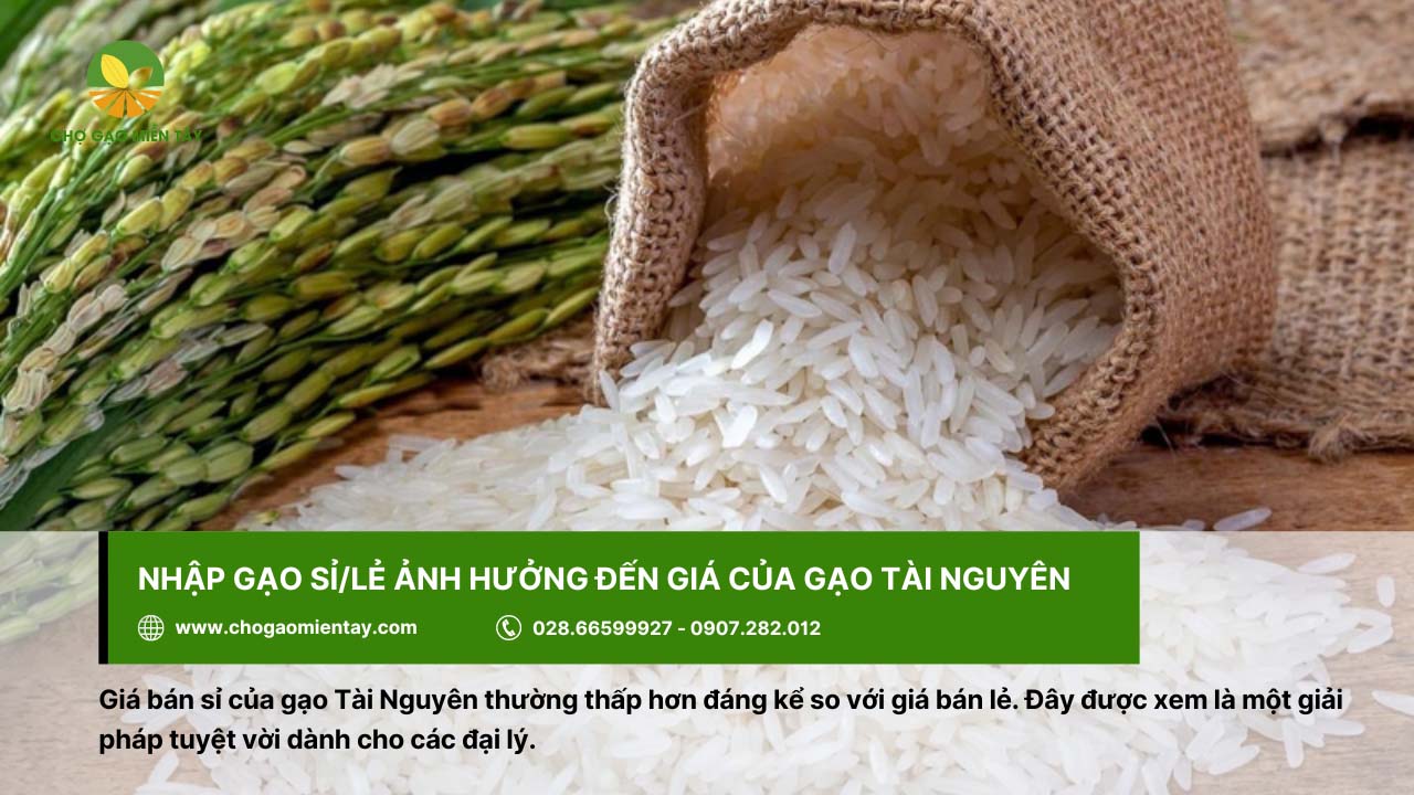 Gạo Tài Nguyên Thơm 7 Giá bán sỉ của gạo Tài Nguyên thường thấp hơn so với giá bán lẻ