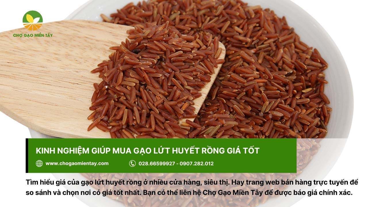 Gạo Lứt Huyết Rồng 6 6 tim hieu gia cua gao lut huyet rong o cua hang uy tin
