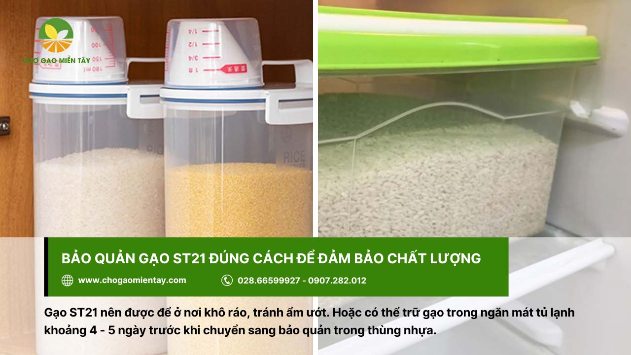 Gạo ST21 Đặc Sản 13 Bảo quản gạo ST21 ở những nơi khô ráo
