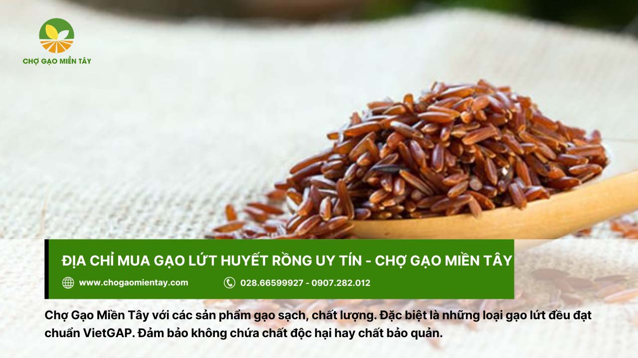 Gạo Lứt Huyết Rồng 9 Chợ Gạo Miền Tây cung cấp gạo chất lượng với giá tốt