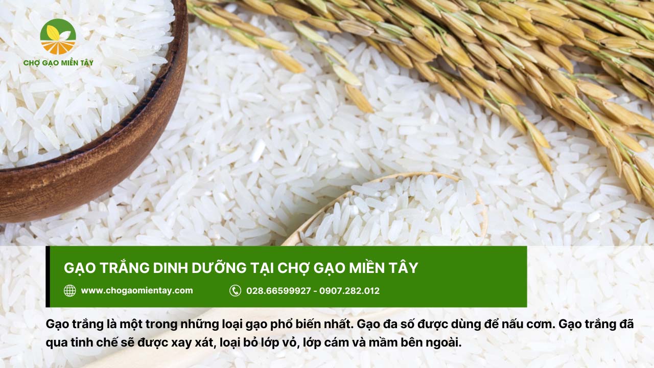 Chợ Gạo Miền Tây - Nhà máy gạo sản xuất gạo sạch, chất lượng 8 Gạo trắng với hàm lượng dinh dưỡng dồi dào