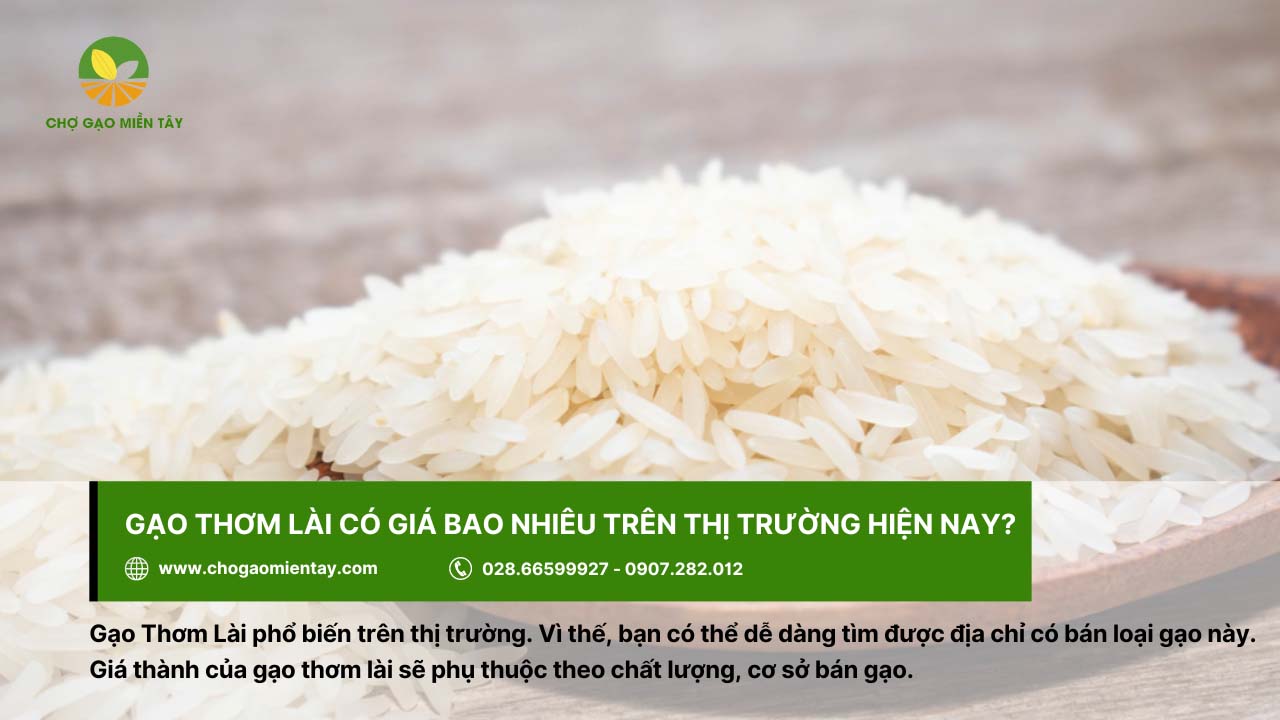 Gạo Thơm Lài 4 Giá của gạo Thơm Lài sẽ phụ thuộc vào chất lượng và cơ sở bán gạo