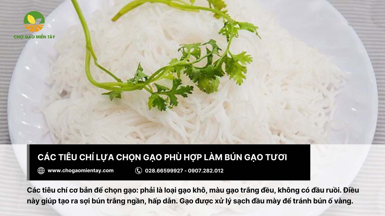 Gạo làm bún là gì? Bảng giá các loại gạo làm bún phổ biến 18 Nên chọn gạo khô, màu trắng đều để làm bún