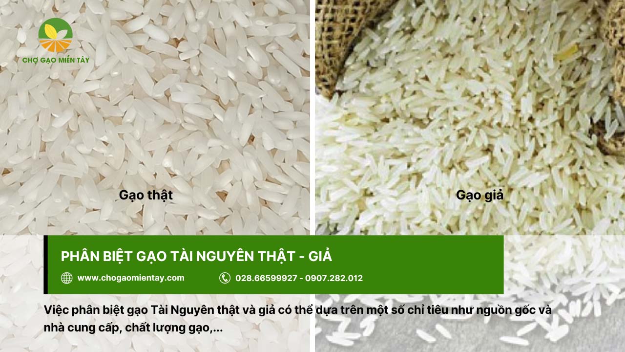 Gạo Tài Nguyên Thơm 8 Phân biệt gạo Tài Nguyên thật giả thông qua chất lượng gạo