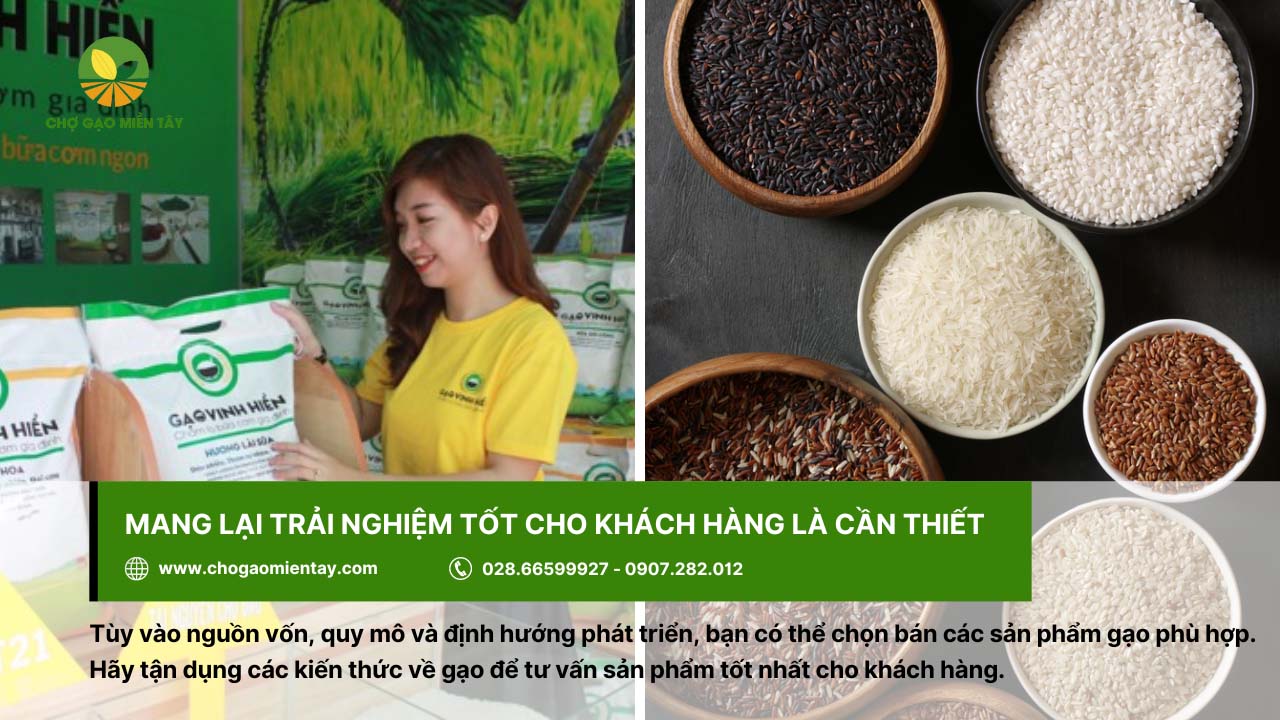 Kinh nghiệm kinh doanh gạo thành công cho người mới bắt đầu 13 Trau dồi kiến thức về gạo để mang lại sự trải nghiệm hài lòng từ khách hàng