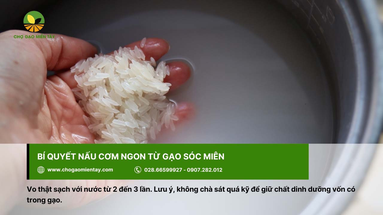 Gạo Sóc Miên là gì? Mua gạo Sóc Miên ở đâu thì đảm bảo chất lượng? 8 Khi nấu gạo Sóc Miên cần vo gạo thật sạch