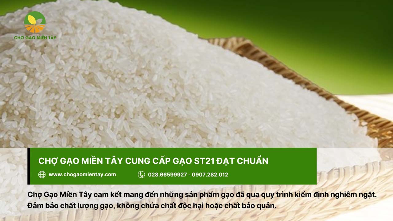 Gạo ST21 Đặc Sản 14 Chợ Gạo Miền Tây cung cấp gạo uy tín và chất lượng