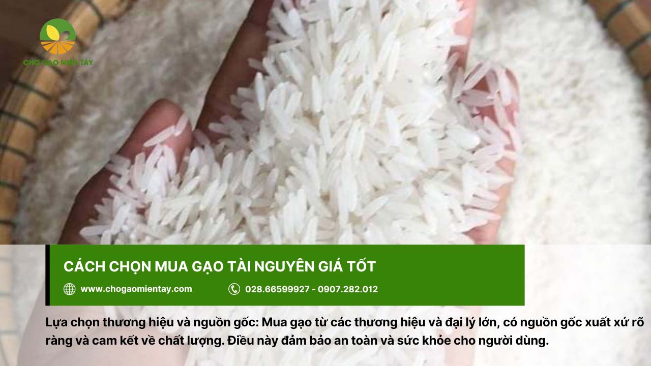 Gạo Tài Nguyên Thơm 9 Chọn gạo Tài Nguyên có thương hiệu và nguồn gốc rõ ràng