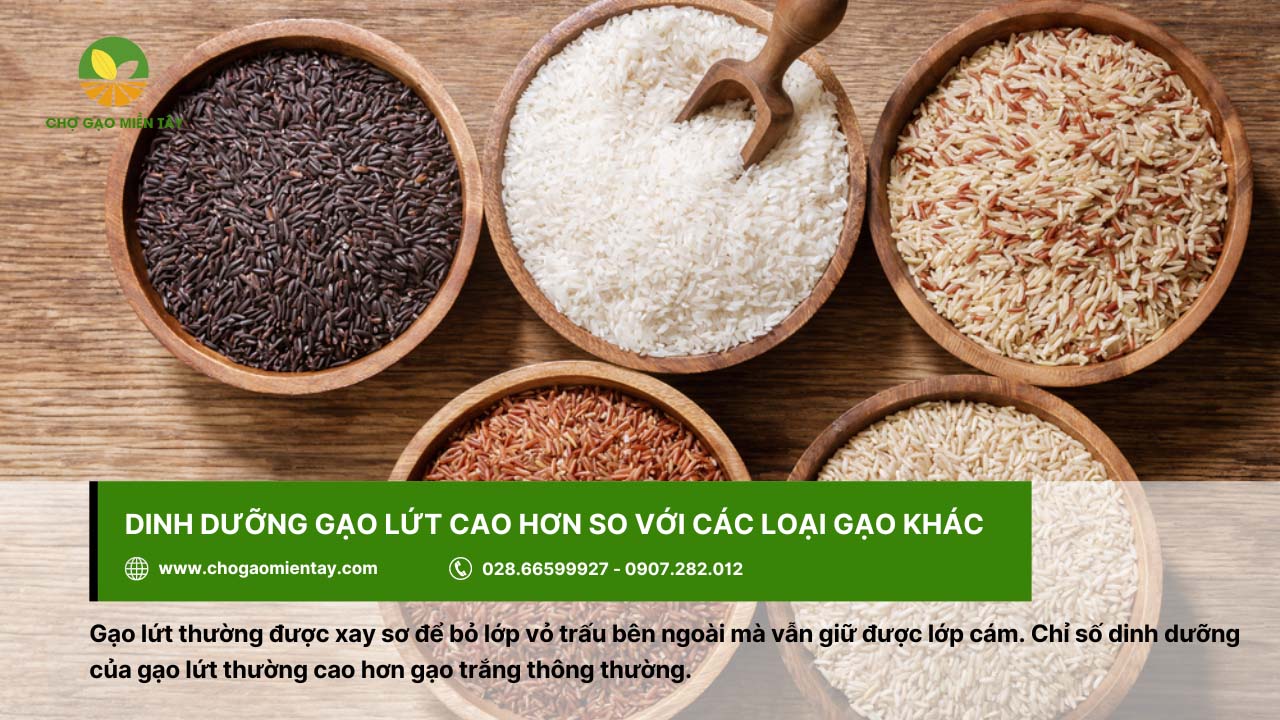 Chợ Gạo Miền Tây - Nhà máy gạo sản xuất gạo sạch, chất lượng 9 Dinh dưỡng gạo lứt cao hơn so với các loại gạo khác