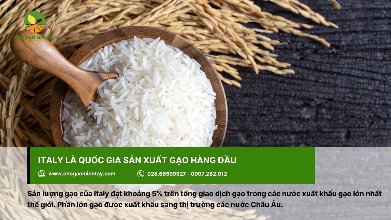 Top 10 nước xuất khẩu gạo lớn nhất thế giới năm 2024 9 Gạo tại Italia được xuất khẩu sang thị trường các nước Châu Âu