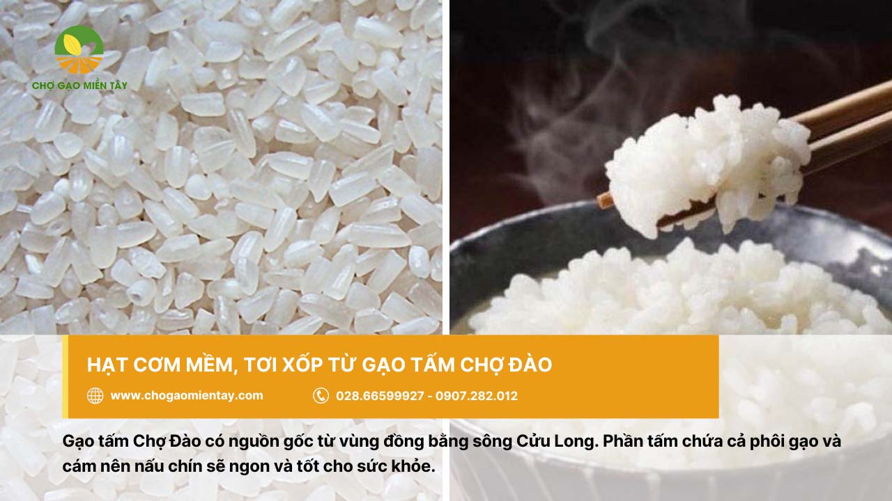 Gạo tấm bán ở đâu? Mua gạo tấm cho quán cơm tấm 9 Gạo tấm Chợ Đào làm mềm cơm