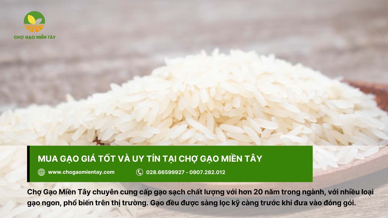 Thông tin giá thóc hôm nay và dự báo giá lúa gạo sắp tới 9 Mua gạo giá tốt, chất lượng tại Chợ Gạo Miền Tây