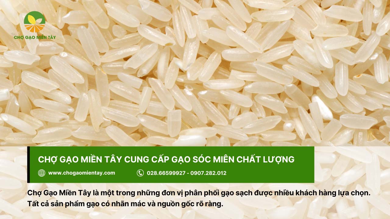 Gạo Sóc Miên là gì? Mua gạo Sóc Miên ở đâu thì đảm bảo chất lượng? 9 Mua gạo Sóc Miên chất lượng tại Chợ Gạo Miền Tây