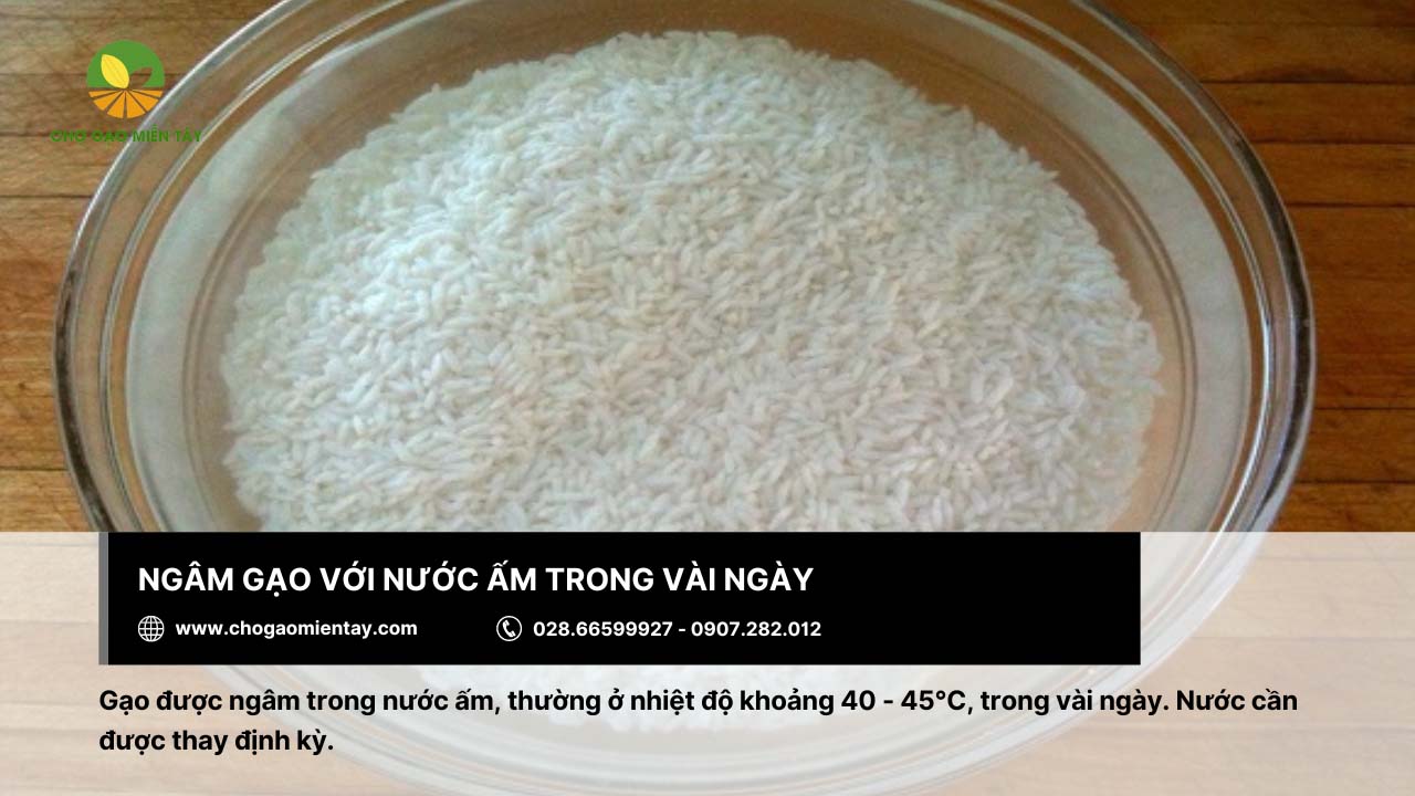 Nguồn sản xuất bún xuất khẩu uy tín Chợ Gạo Miền Tây 9 Ngâm gạo trong nước ấm và thay nước định kỳ