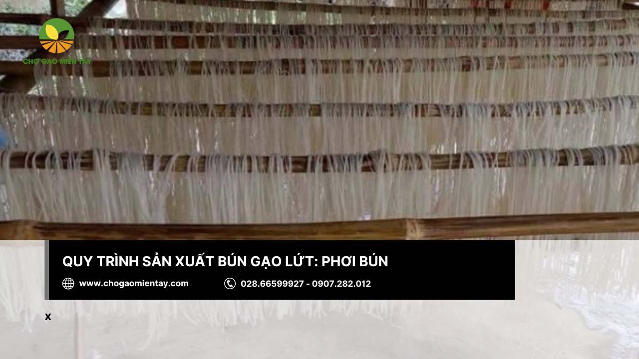 Quy trình sản xuất bún gạo lứt như thế nào? Bún gạo lứt có tác dụng gì? 9 Phơi bún trên các sào tre