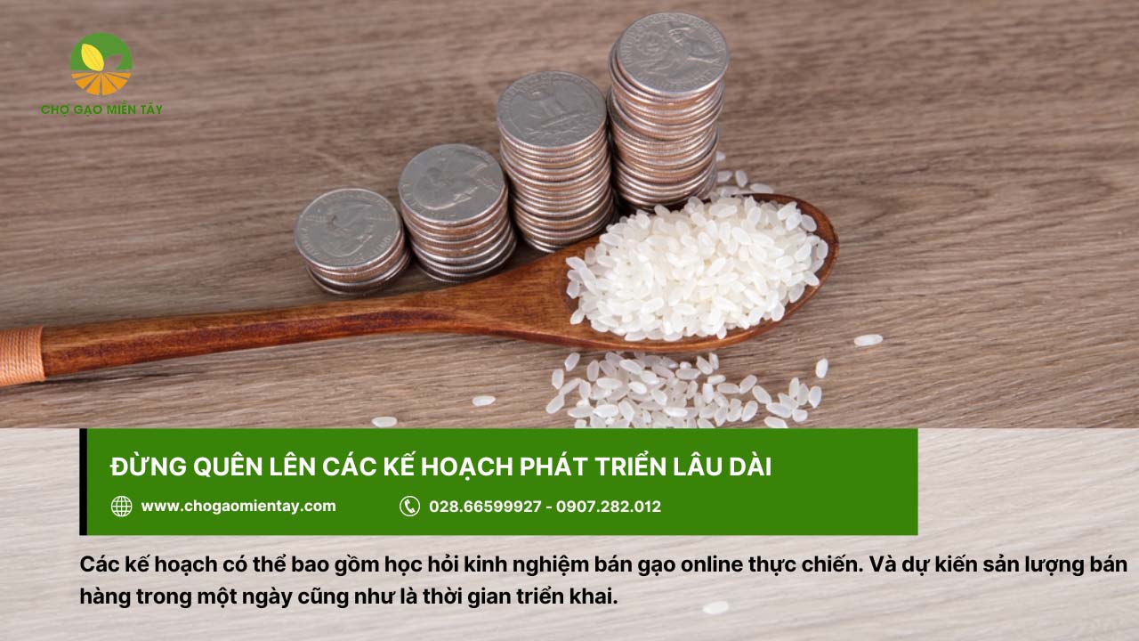 Chiến lược kinh doanh gạo online hiệu quả, lợi nhuận cao 10 Chiến lược lâu dài là phương pháp để kinh doanh gạo online hiệu quả
