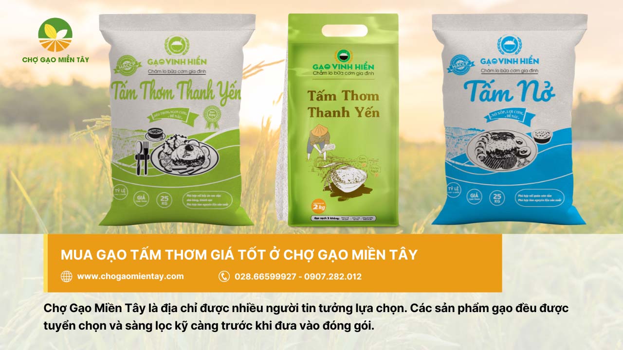 Gạo Tấm Thơm 4 Chợ Gạo Miền Tây cung cấp gạo tấm thơm giá tốt