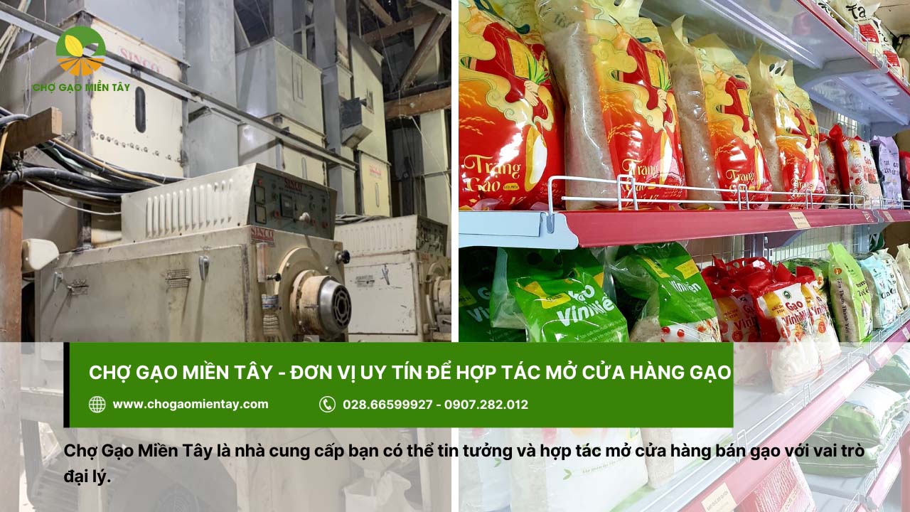 Mở đại lý gạo cần bao nhiêu vốn? Tư vấn mở đại lý gạo hiệu quả 12 Chợ Gạo Miền Tây - đơn vị uy tín để hợp tác mở cửa hàng gạo