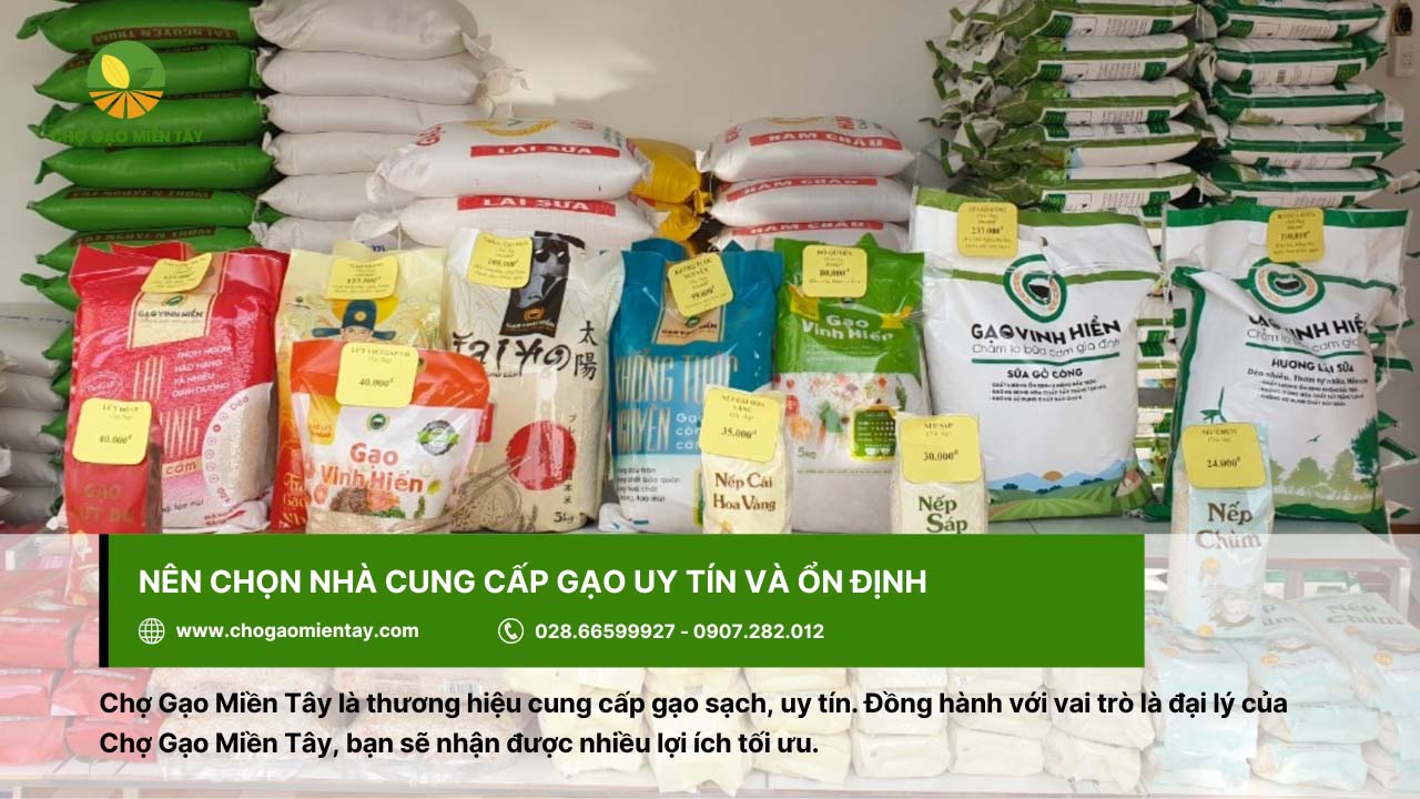 8 rủi ro khi kinh doanh gạo và giải pháp khắc phục hiệu quả 18 Chọn nhà cung cấp gạo uy tín và ổn định - Chợ Gạo Miền Tây