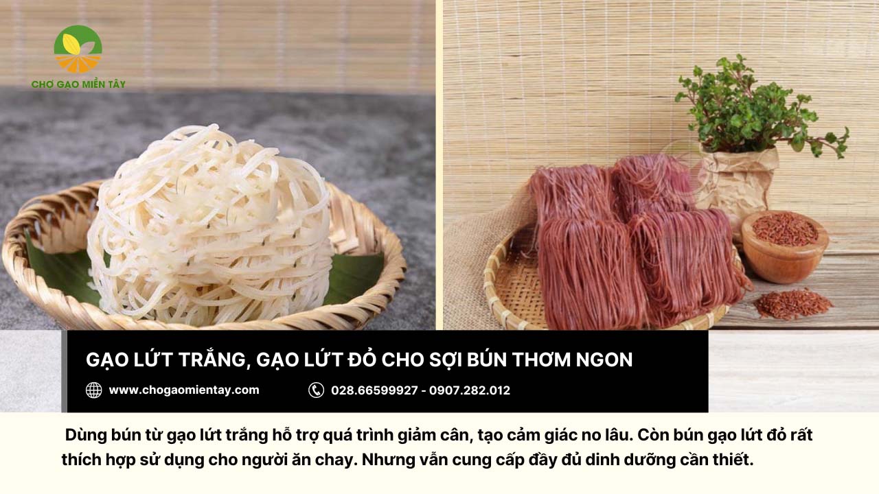 Quy trình sản xuất bún gạo lứt như thế nào? Bún gạo lứt có tác dụng gì? 10 Gạo lứt trắng hay gạo lứt đỏ đều có thể dùng để sản xuất bún gạo lứt
