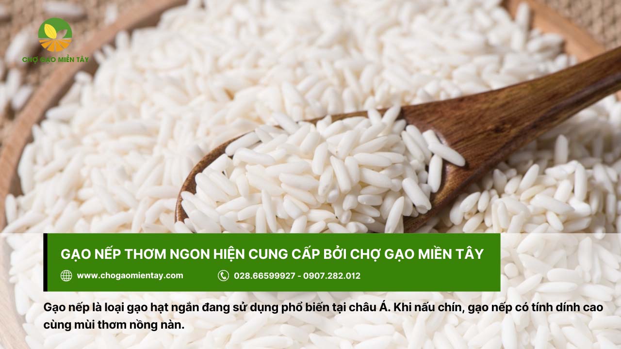 Chợ Gạo Miền Tây - Nhà máy gạo sản xuất gạo sạch, chất lượng 10 Gạo nếp có tính dính cao