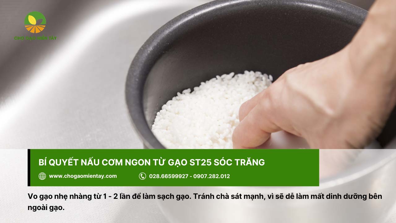 Gạo đặc sản ST25 10 Làm sạch gạo ST25 trước khi nấu