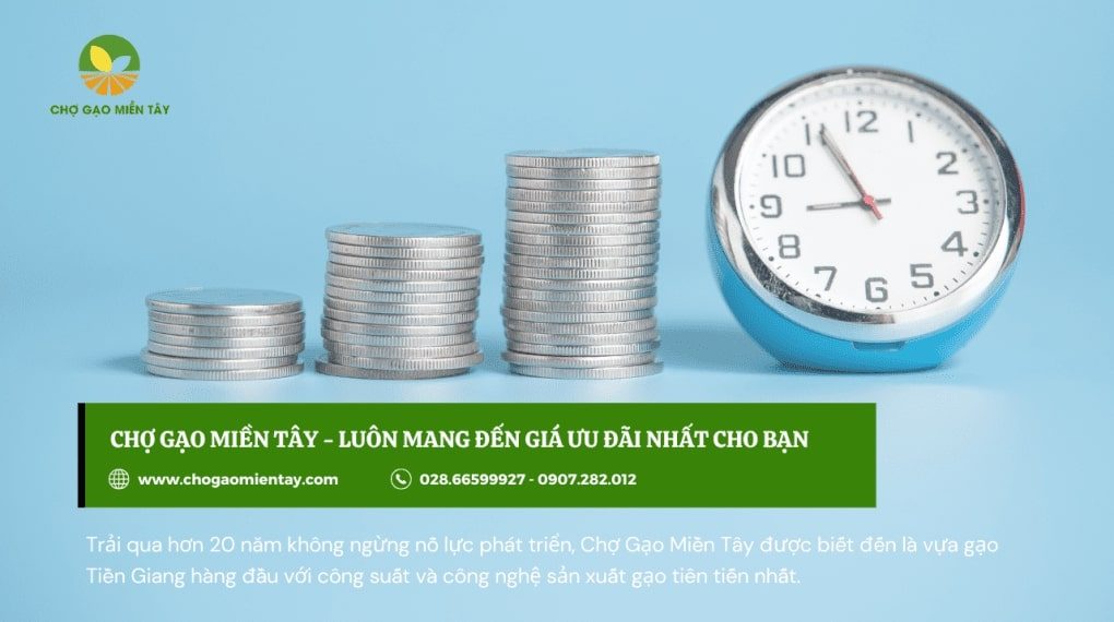 Mở đại lý gạo cần bao nhiêu vốn? Tư vấn mở đại lý gạo hiệu quả 18 Mất bao lâu để hoàn vốn và có lợi nhuận khi kinh doanh gạo