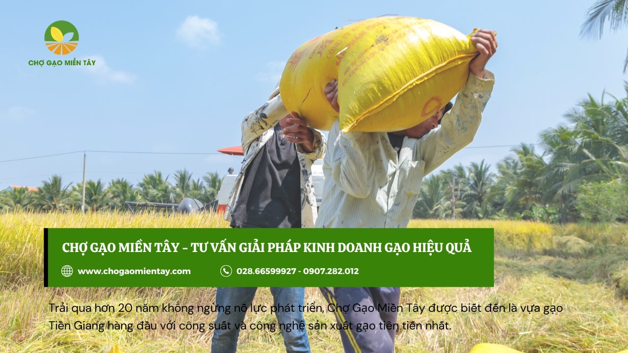 Mở đại lý gạo cần những gì? Hướng dẫn cách mở đại lý gạo 16 Cạnh tranh về giá không phải là cách kinh doanh hay và lâu dài khi làm đại lý kinh doanh gạo