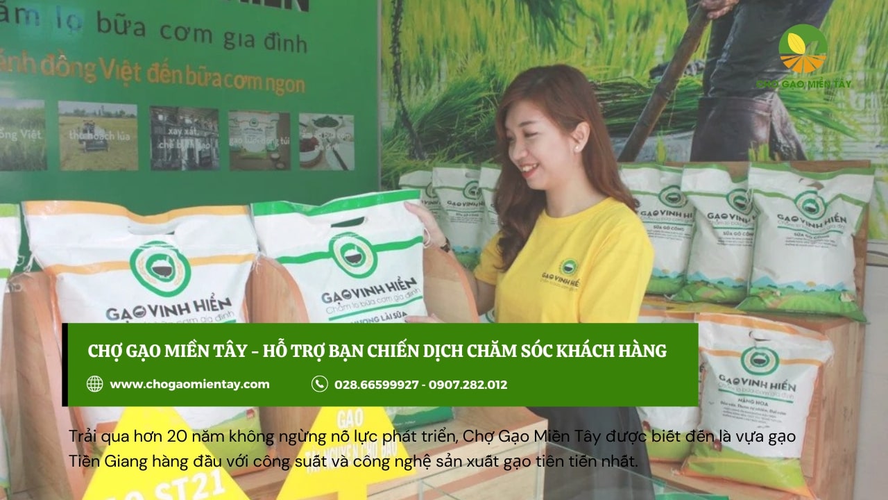 Mở đại lý gạo cần những gì? Hướng dẫn cách mở đại lý gạo 9 Chợ gạo miền tây hỗ trợ tư vấn miễn phí cho đại lý kinh doanh gạo
