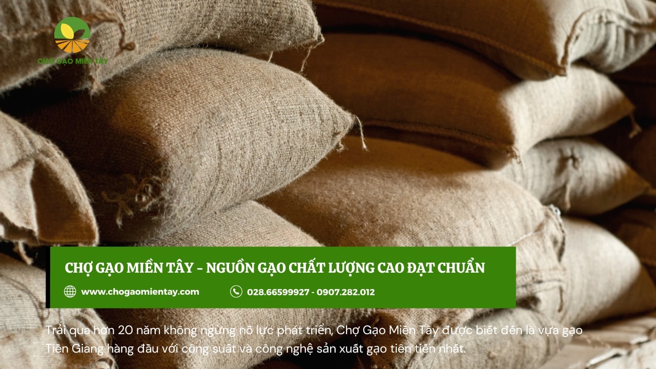 Mở đại lý gạo cần những gì? Hướng dẫn cách mở đại lý gạo 14 Nên nhập gạo giá rẻ để có lợi nhuận cao khi làm đại lý kinh doanh gạo