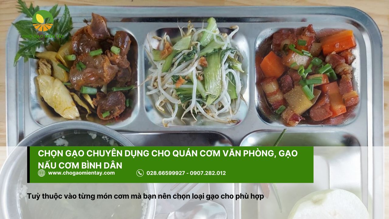 Cung cấp gạo nấu cơm bình dân, quán ăn, văn phòng giá hợp lý 2 Chọn gạo chuyên dụng cho quán cơm văn phòng, gạo nấu cơm bình dân